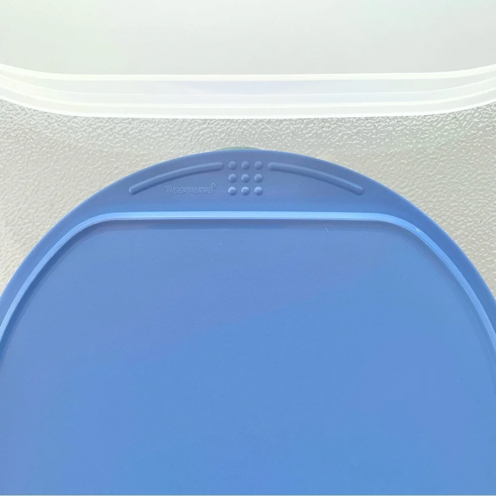 Tupperware Fridge Stackables Deli Meat Keeper Stacking Trays with Blue Lid